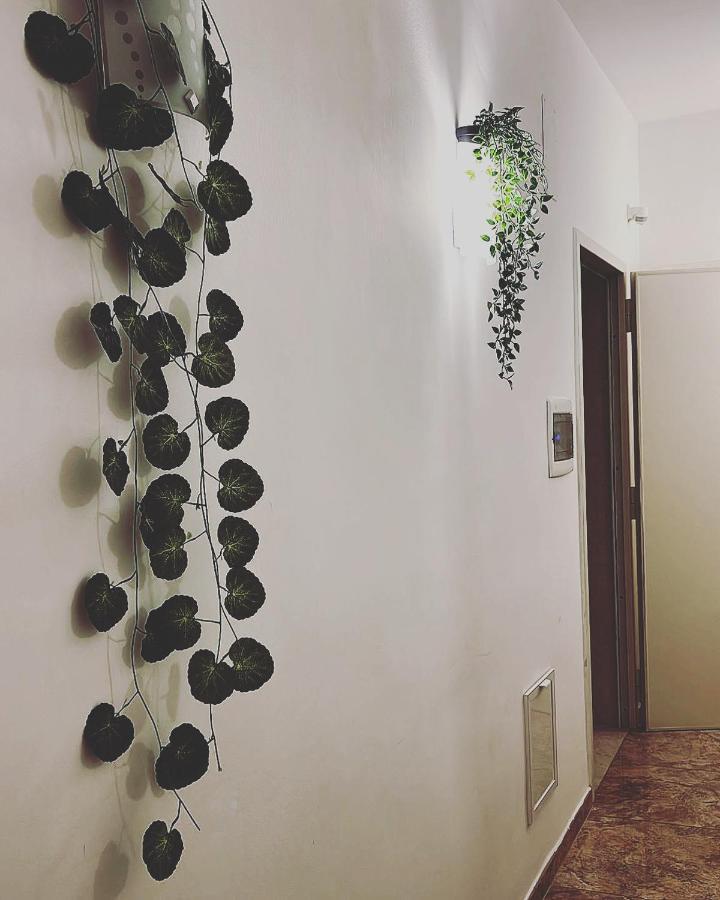 Esperanto B&B Bari Bagian luar foto